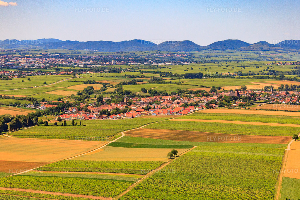 Luftbild: Dorfansicht von Nordosten in Essingen im Bundesland Rheinland-Pfalz in Deutschland. Foto: IMG_30176.jpg vom 05.07.2010 durch Werner Riehm/FLY-FOTO.de