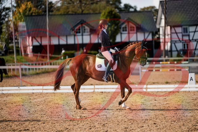 2026_10_03_Siefer-Hof_132757_Z63_87451001 | Professionelle Reitsport-, Turnier- und Eventfotografie von Robert Broda. Galerien mit ausgewählten und bearbeiteten Bildern direkt online ansehen und bestellen.