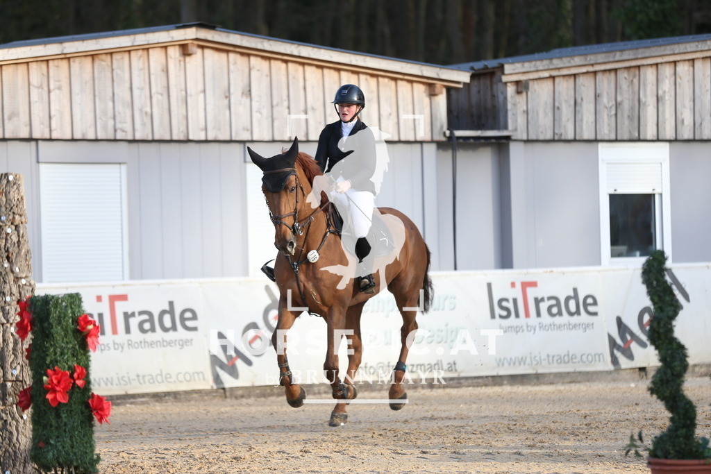 AS8V3978 | Willkommen bei Brunnmayr - Design & Fotografie – Ihrem Spezialisten für Reitturniere und Pferdeveranstaltungen in Oberösterreich, Salzburg und Bayern! Seit über 17 Jahren sind wir leidenschaftlich dabei.