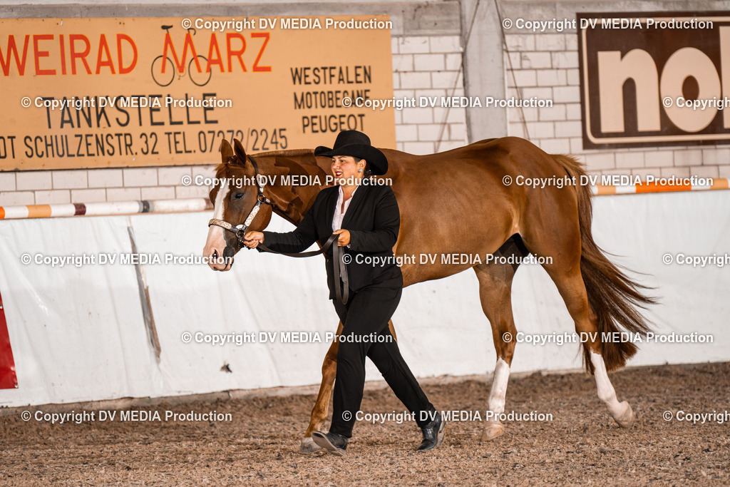 ZH200028 | dv-media-shop - Realisiert mit Pictrs.com