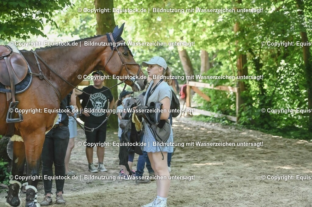 20230529_Impressionen_0062 | equistock