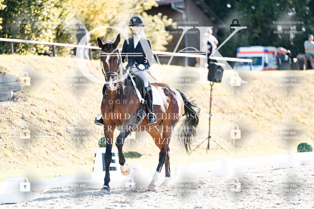 CK906522 | Turnierfotografie Pferdefotografie Trier Rheinland-Pfalz Pferdesport Reitsport Tierfotografie Sportfotografie Pferdevideo Pferdevideografie Equestrianvideography equestrianphotography  - Realisiert mit Pictrs.com