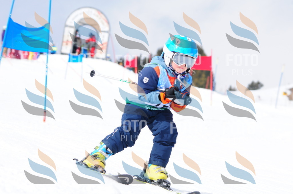 A3710 | holidayphoto