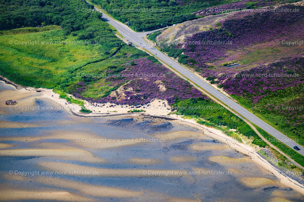Sylt_List_Listerstrasse_Am_Jugendseeheim_ELS_3556130825 | KAMPEN (SYLT) 13.08.2025 Straßenführung " Lister Straße " Abzweig Jugendseeheim Sylt in Kampen (Sylt) im Bundesland Schleswig-Holstein, Deutschland. // Street layout " Lister Strasse " junction Jugendseeheim Sylt in Kampen (Sylt) in the federal state of Schleswig-Holstein, Germany. Foto: Martin Elsen