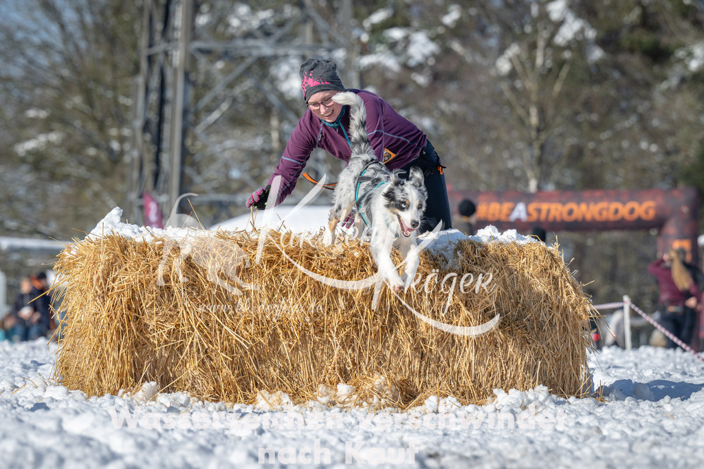 1045_ZZ92587-2 | kk-dogfotos