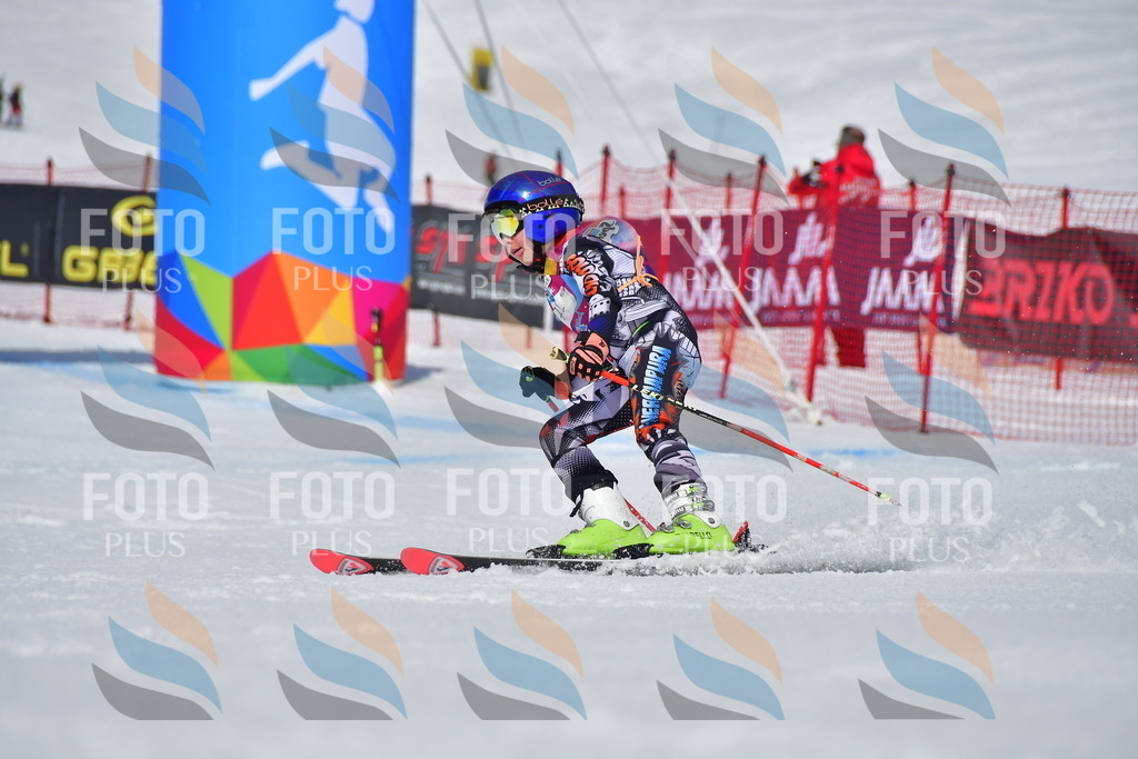 _DSC7368 | holidayphoto