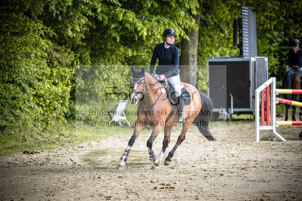 DOS_1698 | Reitturnier Lüdinghausen - Realisiert mit Pictrs.com