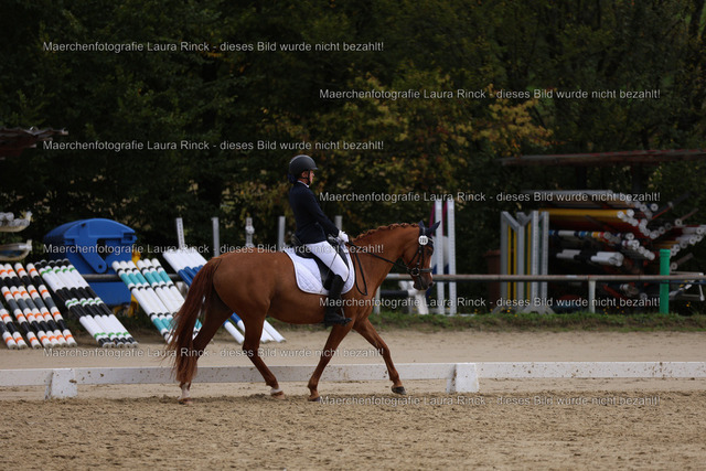 HG9A2123 | laurarinckfotografie - Realisiert mit Pictrs.com