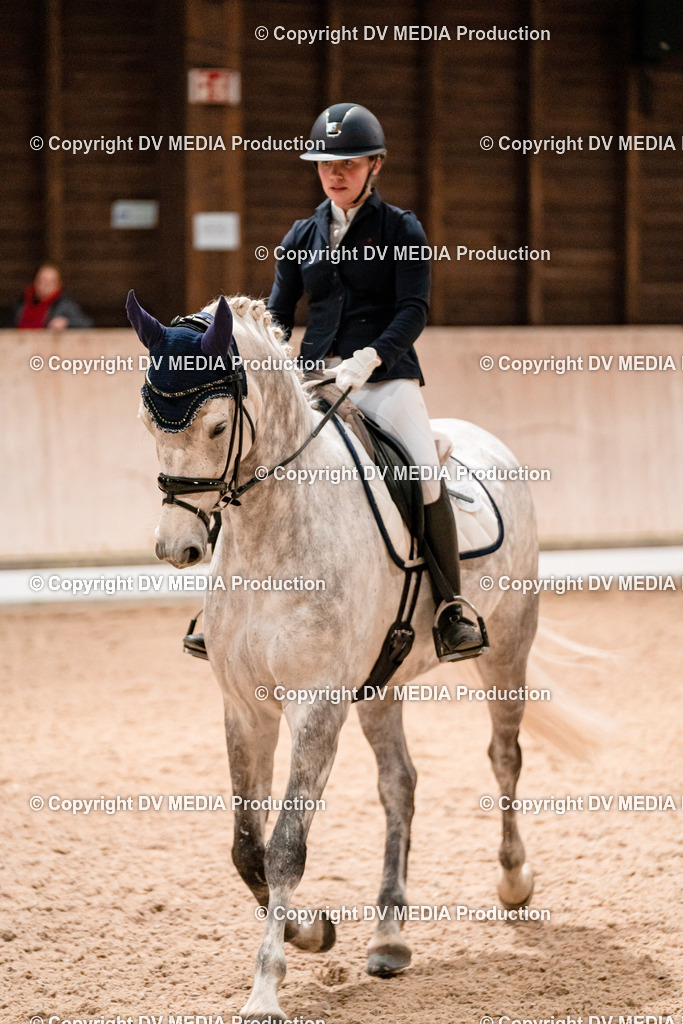 Dressur Tag 1 -297 | dv-media-shop - Realisiert mit Pictrs.com