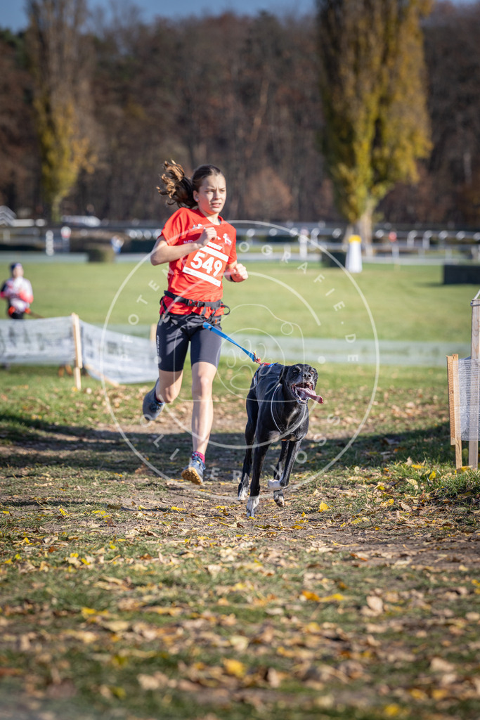 CaniXpix_DV3A8463 | Hundefotografie, Tierfotograf, Pfotenfotografie, Fotoshooting Hund, Hunde Portrait, Hundesport, Hundeportraits, Heideshooting, Hunde, Sportfotograf, Hundefotograf, Turnierhundsport, THS,  - Realisiert mit Pictrs.com