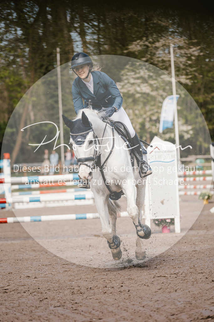 3I6A4009 | Stimmungsvolle Portraits und Reitsportfotografie im Ruhrgebiet und im Münsterland.

Pferdefotografie, Hundefotografie, Tierfotografie, Reportagen, Portraits von Tier und Mensch, Turnierfotografie in Bochum, Recklinghausen, Marl, Haltern am See, Dülmen.. - Realisiert mit Pictrs.com