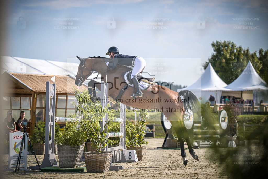 DOS_9450 | Entdecke hochwertige Reitturnierfotos von Foto Oger. Professionell, emotional und authentisch – jetzt Lieblingsmomente im Shop bestellen. - Realisiert mit Pictrs.com