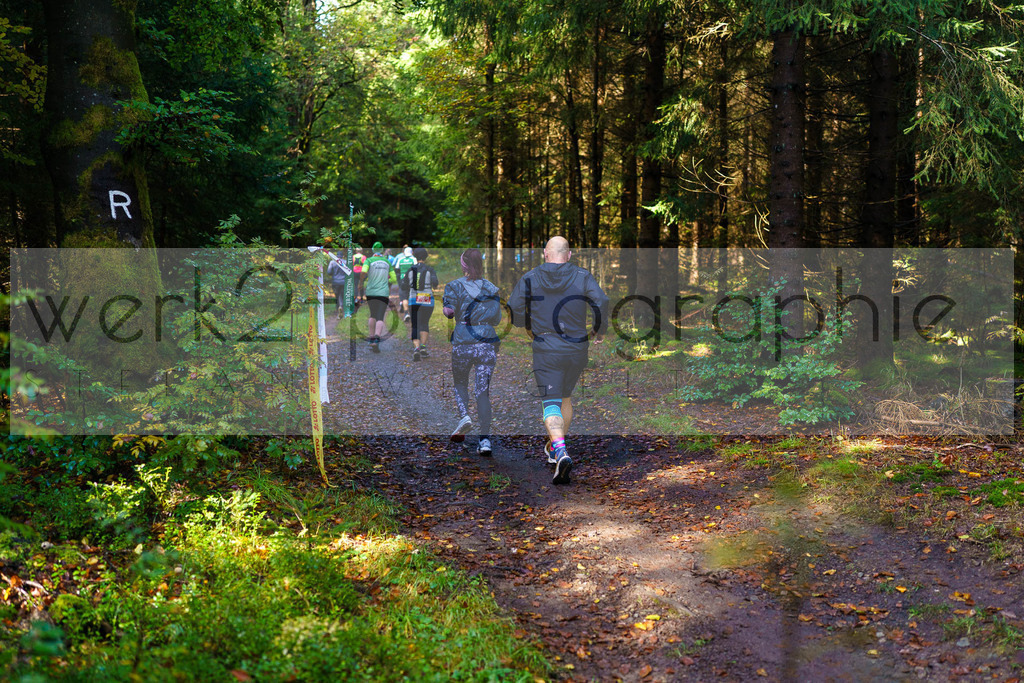 Herbstlauf 2024 | Rennsteig-Herbstlauf von Neuhaus am Rennweg nach Masserberg am 6. Oktober 2024