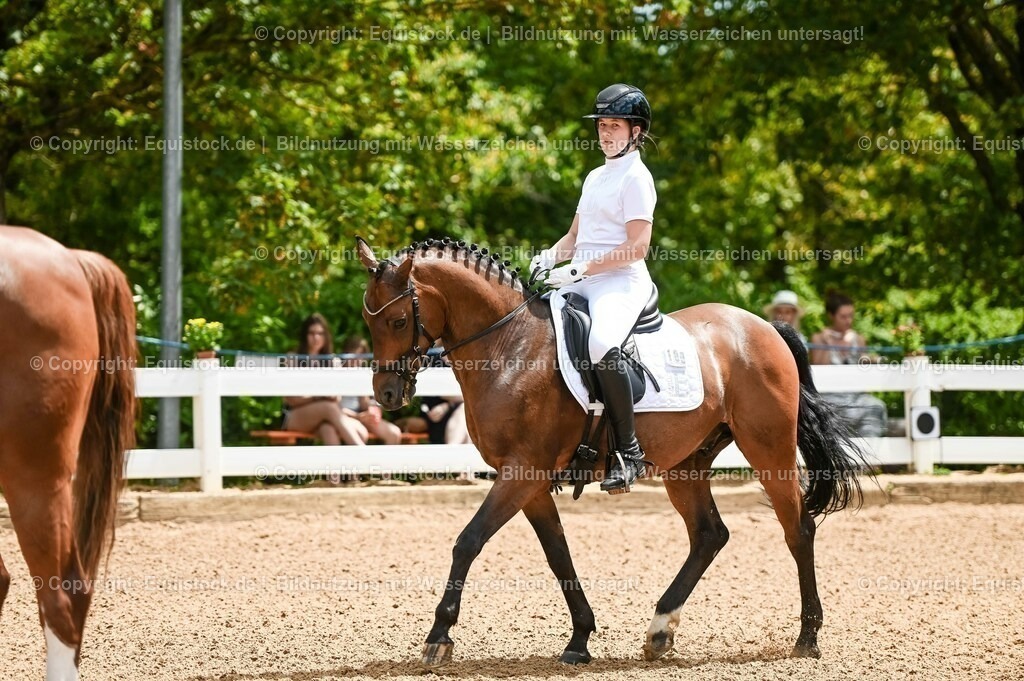 20230715_05_Dressurprüfung Kl.A++_0002 | equistock
