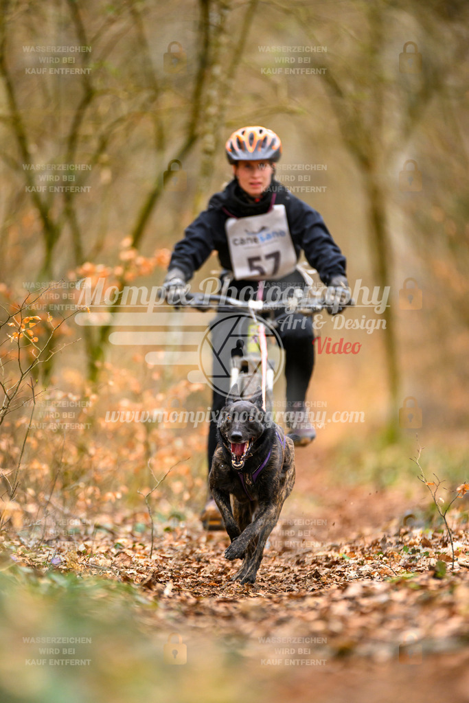 MompixPhotography_ReiatRennen2024_SO_Bike1H-76 | PayLife