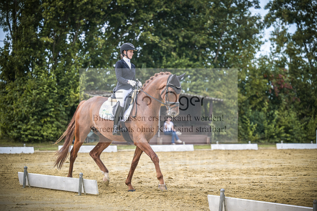 DOS_9247 | Entdecke hochwertige Reitturnierfotos von Foto Oger. Professionell, emotional und authentisch – jetzt Lieblingsmomente im Shop bestellen.Deutschlandweite Turnierfotografie. - Realisiert mit Pictrs.com
