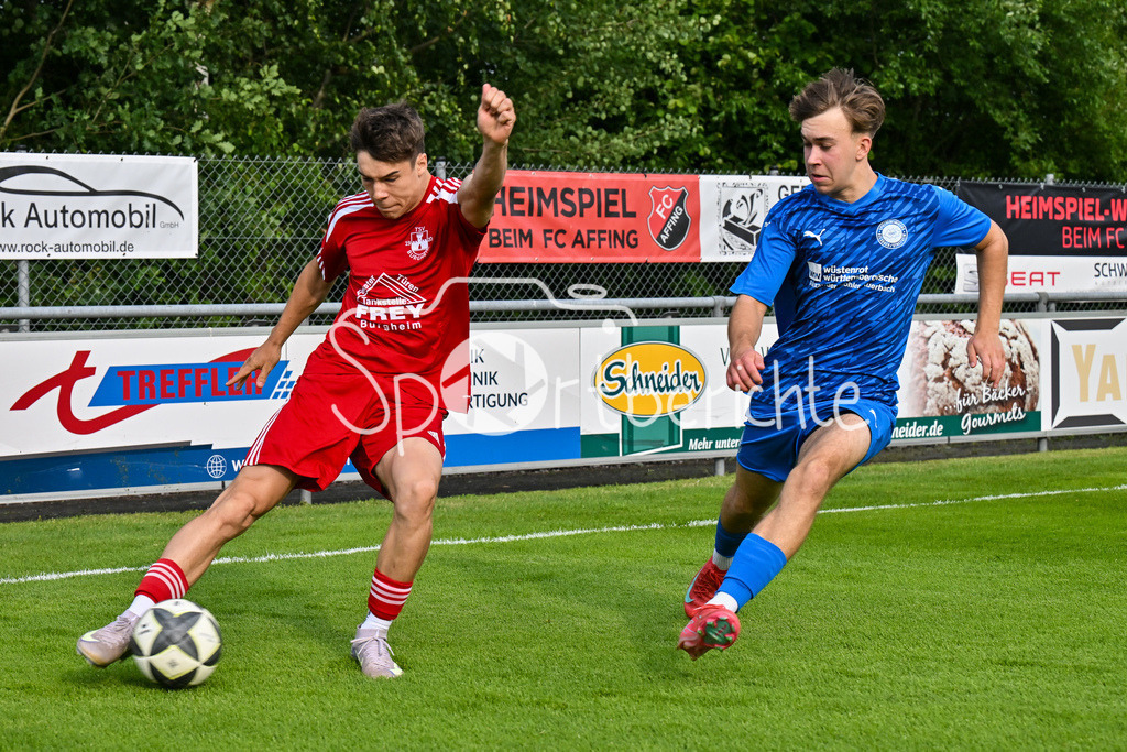 SpVgg Auerbach-Streitheim - TSV Burgheim | Burgheim 20 / Auerbach 8