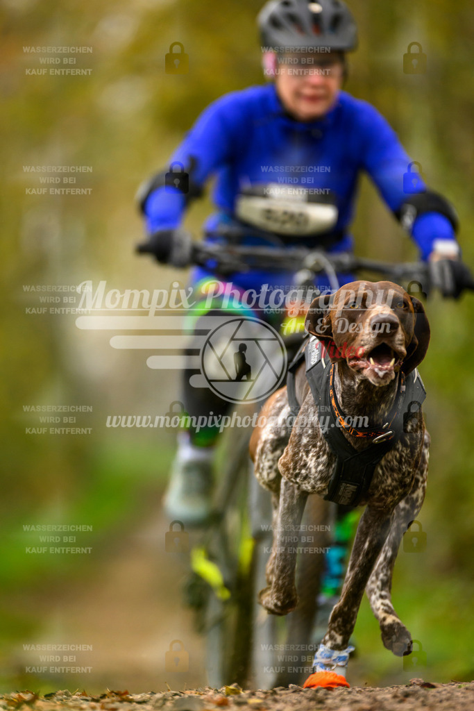 MompixPhotography_20TSB_E6_Bike-87 | mompixphotography