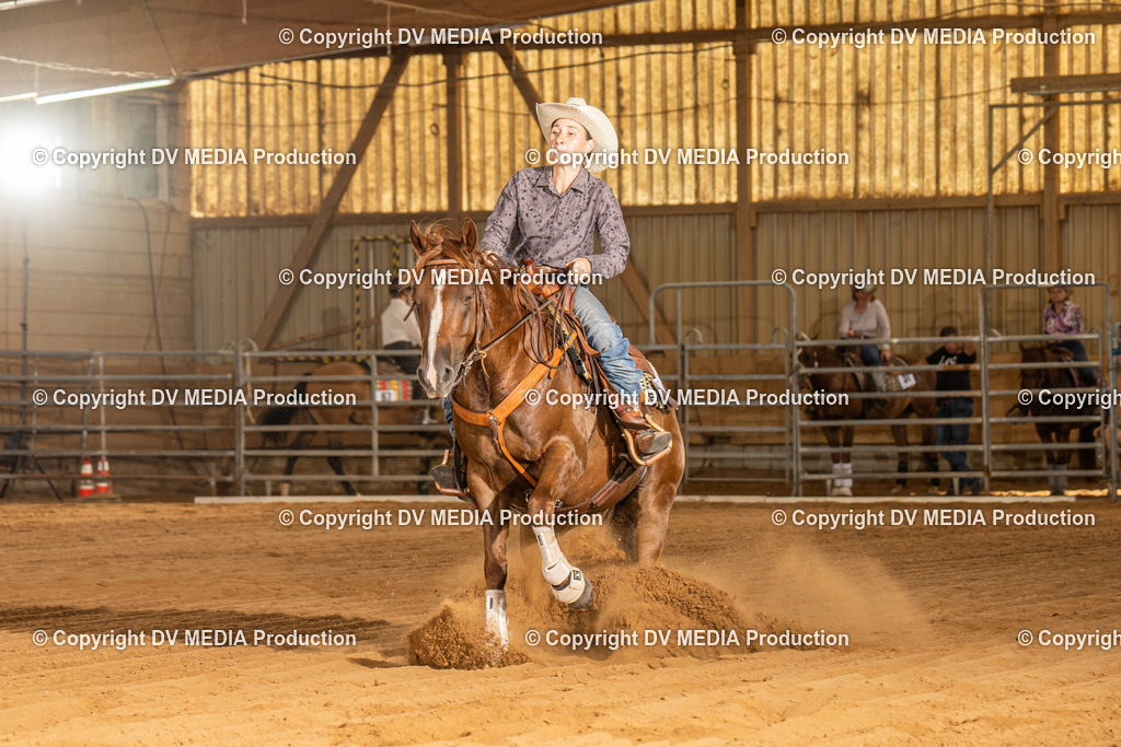 NID02289 | dv-media-shop - Realisiert mit Pictrs.com