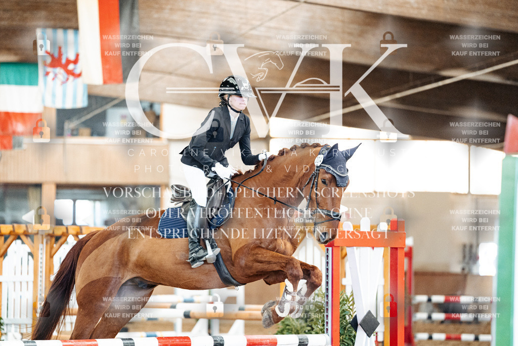CK905014 | Turnierfotografie Pferdefotografie Trier Rheinland-Pfalz Pferdesport Reitsport Tierfotografie Sportfotografie Pferdevideo Pferdevideografie Equestrianvideography equestrianphotography  - Realisiert mit Pictrs.com