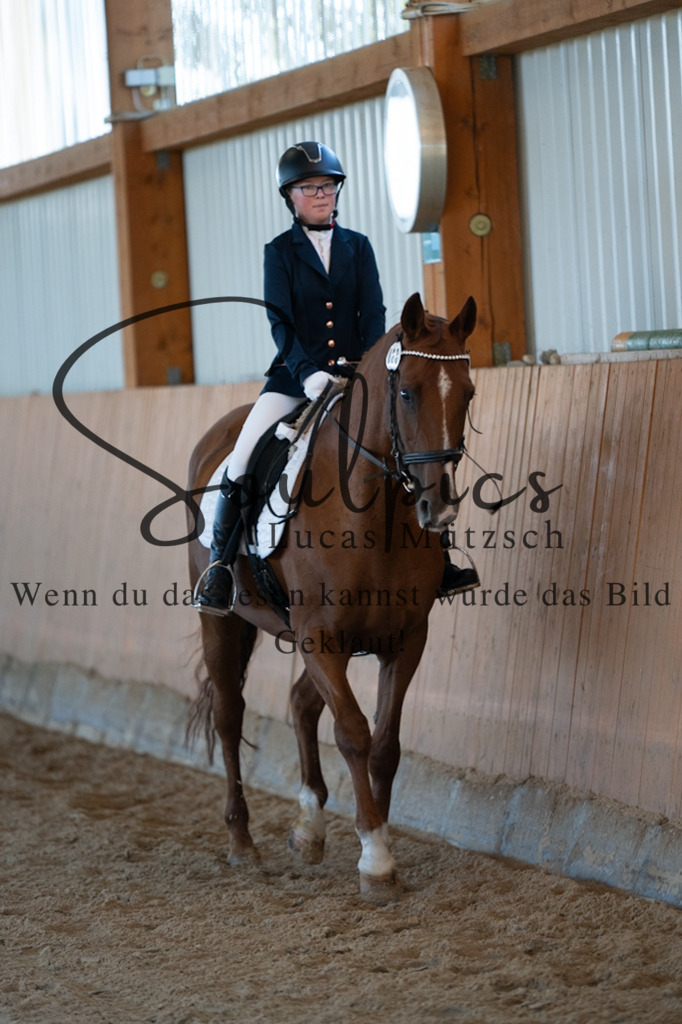 A7V01589 | Pferdefotograf