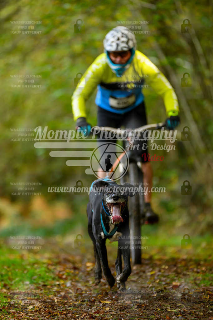 MompixPhotography_20TSB_E1_Bike-51 | PayLife
