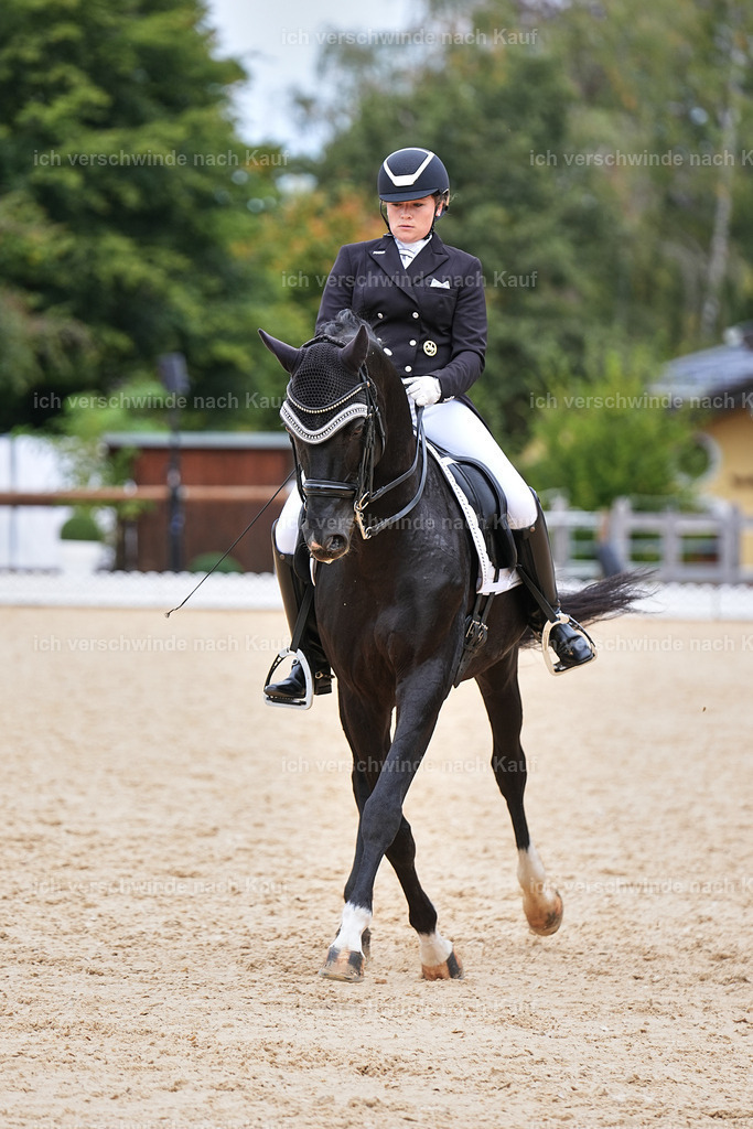 11-093-Dressur S___-Marixx-1555 | working equitationturnier fotograf videograf stoibphotography marixx film working equitation deutschland reitsport turnierfotografie eventfotografie equestrian events