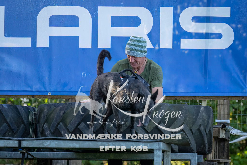 1014--11 | kk-dogfotos