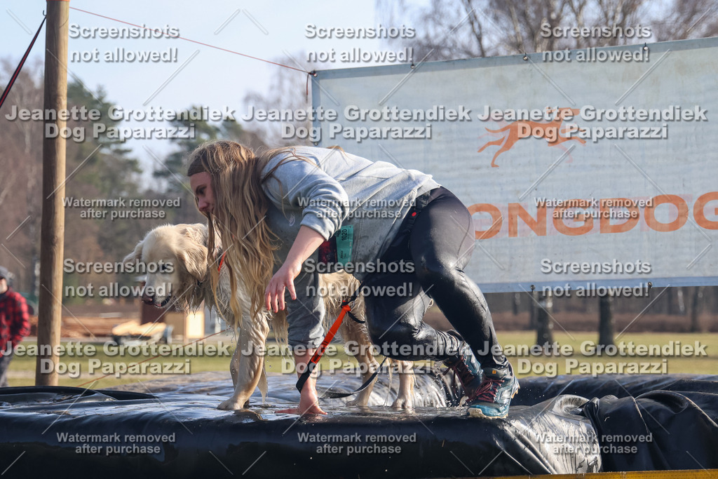 Dog Paparazzi - Strongdog North Mrz26-687 | Dog Paparazzi Jeanette Grottendiek Fotografie & Videografie - Realisiert mit Pictrs.com
