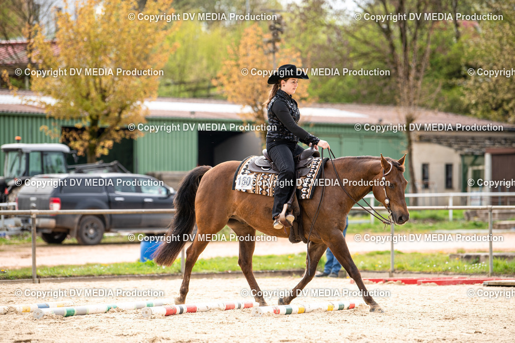 Heiligenwald Tag 1-336 | dv-media-shop - Realisiert mit Pictrs.com