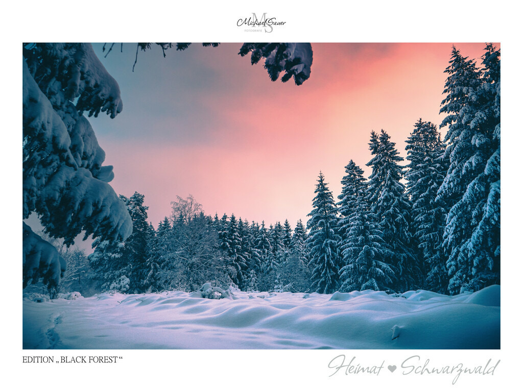 Edition "BLACK FOREST" | Motiv: Winterzauber im mittleren Schwarzwald. Die beliebtesten Fotografien aus dem Schwarzwald als signierte Sonderedition. Eine exklusive Wanddekoration für alle Liebhaber von traumhaften Schwarzwaldlandschaften. Hochwertige Wandbilder in brillanter Druckqualität auf Acrylglas, Alu-Dibond und Leinwand für Ihr Zuhause – inklusive rückseitige Aufhängung.
 - Realisiert mit Pictrs.com