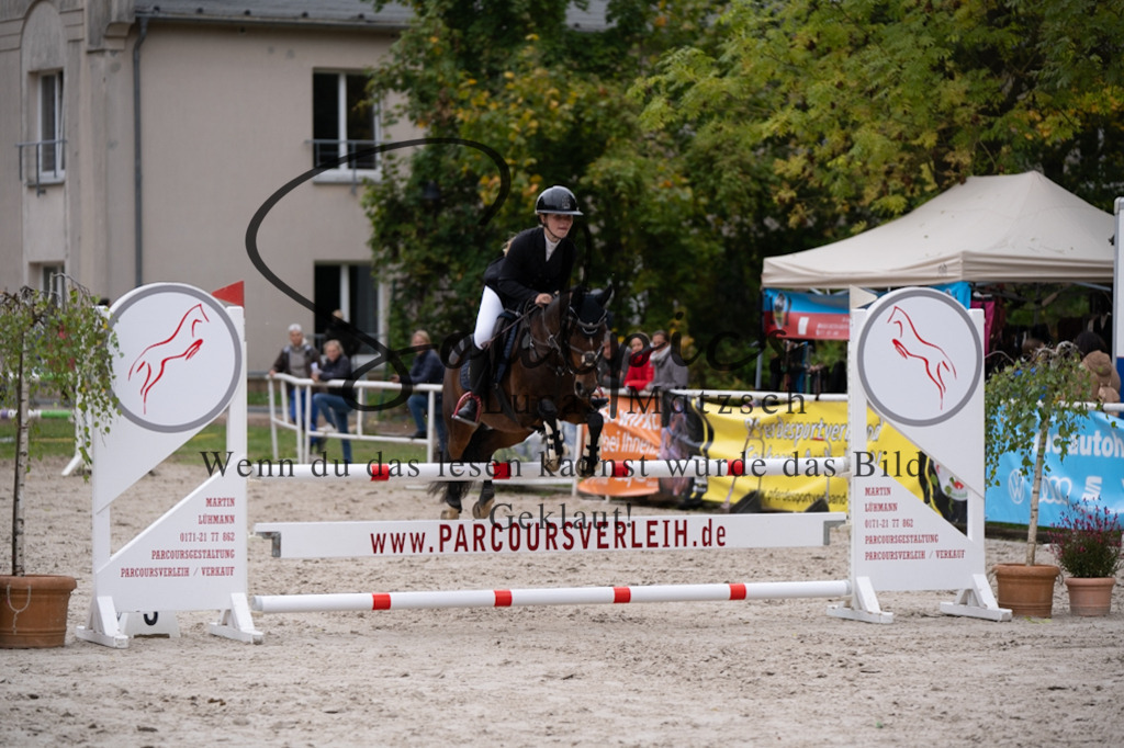 A7V07929 | Pferdefotograf