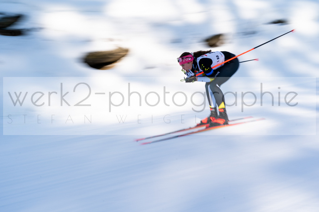 DSC Arber | Bayerischer Wald am 9. bis 12. Februar 2023
