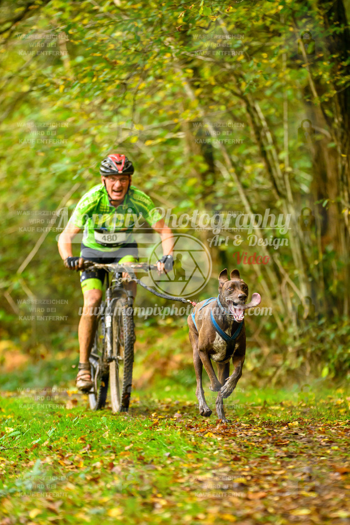 MompixPhotography_20TSB_E1_Doppel-10 | PayLife