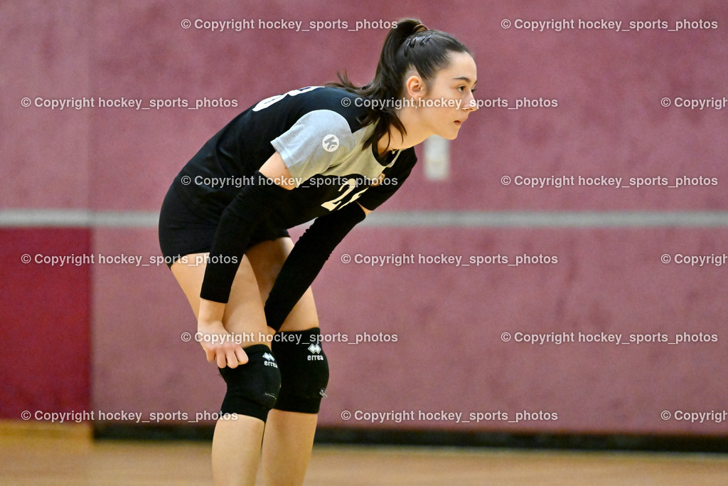 ASKÖ Volley Eagles vs. VC Raiffeisen Dornbirn 26.11.2022 | #28 HATEMIC Gloria Maxima