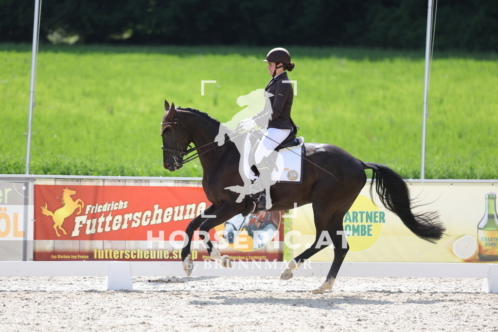 0P6A6292 | Willkommen bei Brunnmayr - Design & Fotografie – Ihrem Spezialisten für Reitturniere und Pferdeveranstaltungen in Oberösterreich, Salzburg und Bayern! Seit über 17 Jahren sind wir leidenschaftlich dabei.