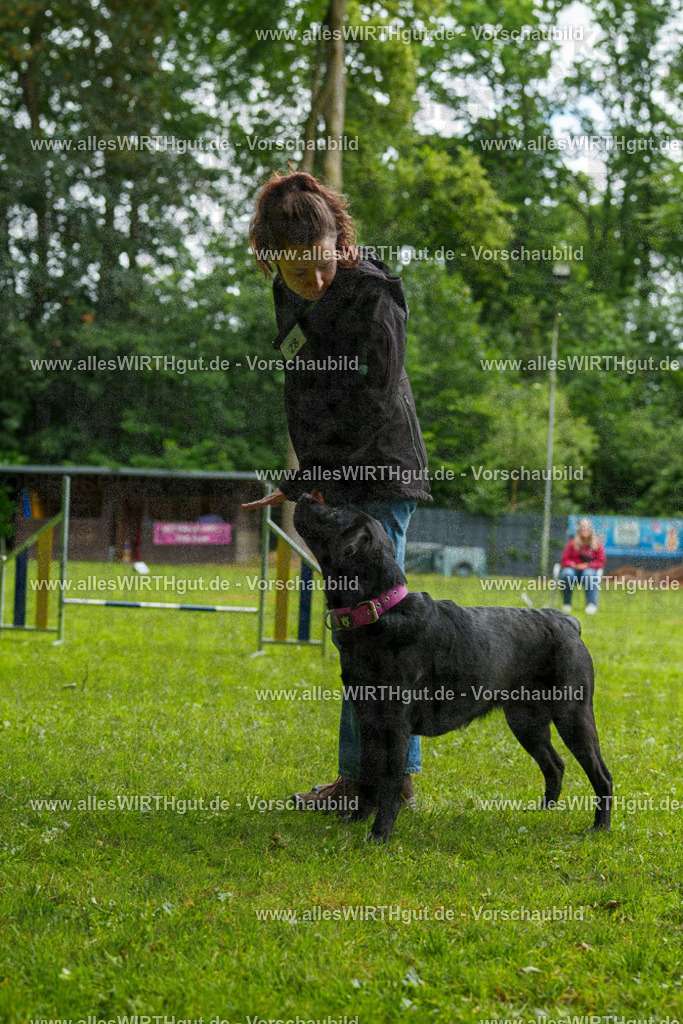 @allesWIRTHgut_Tierfotografie - www.allesWIRTHgut.de - 101539-7R508240 | Professionelle Tierfotografie in Mönchengladbach von Daniel Wirth (allesWIRTHgut). Liebevolle & natürliche Bilder von Hunden & Katzen für unvergessliche Erinnerungen.