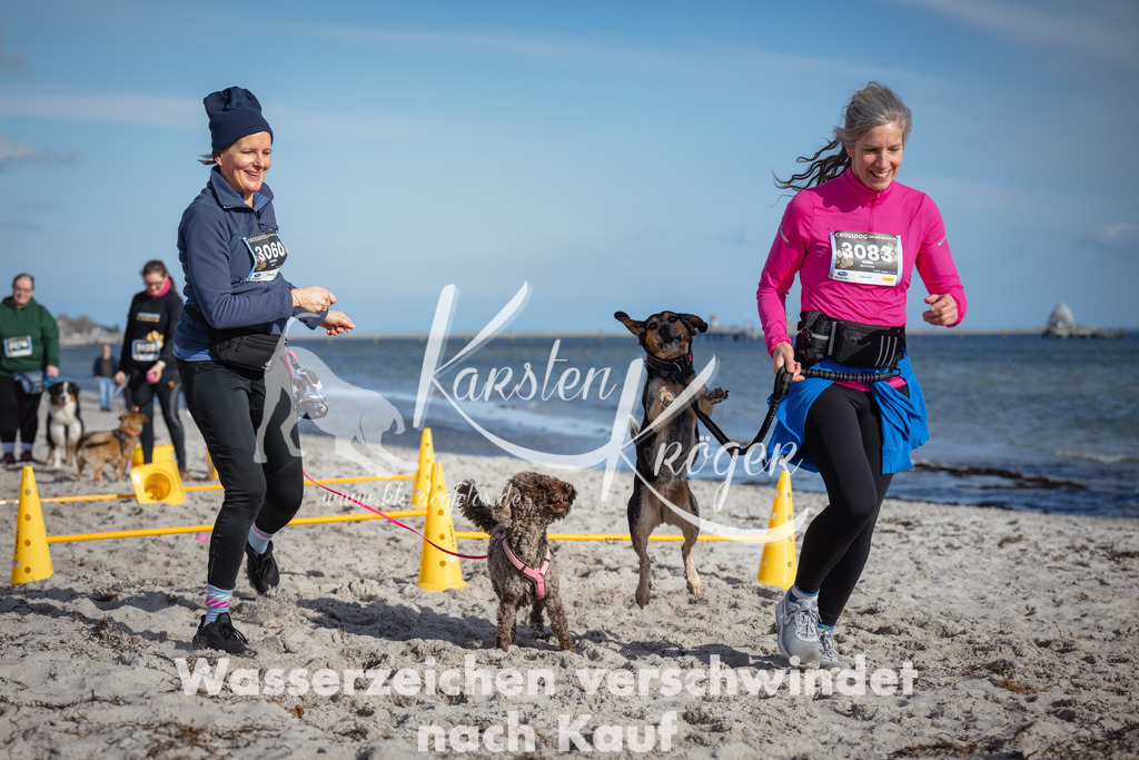 1348_ZZ93771 | kk-dogfotos