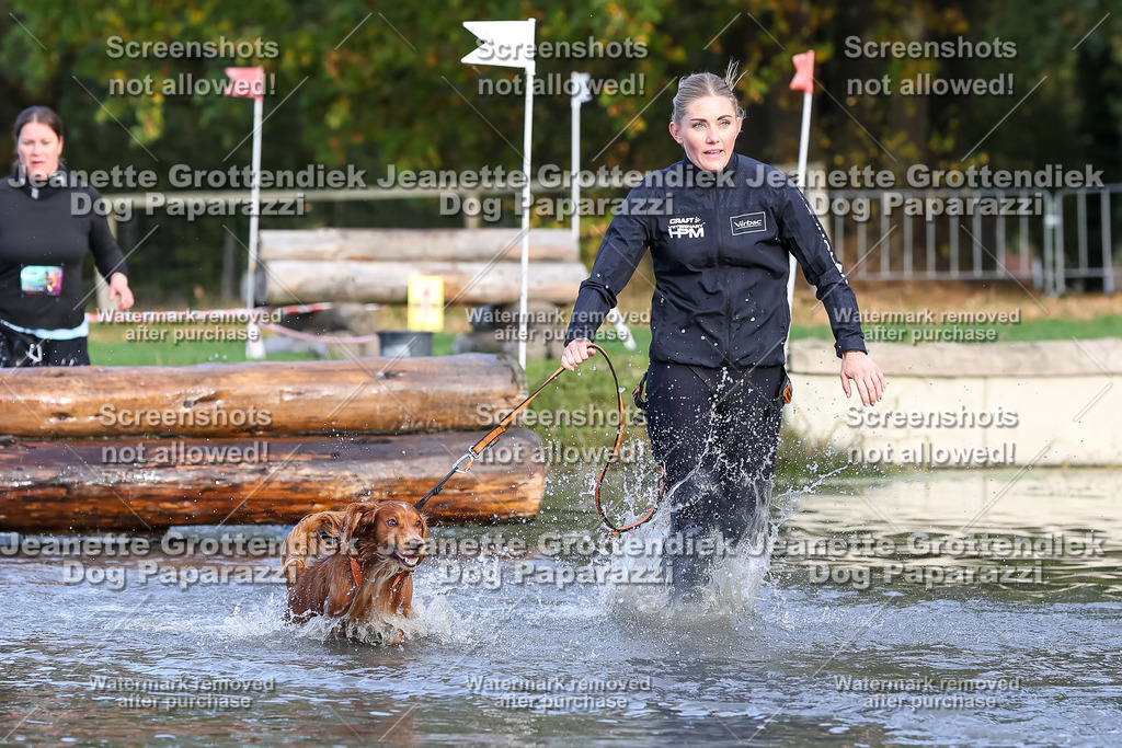 Dog Paparazzi - Strongdog 10-25-8254 | Dog Paparazzi Jeanette Grottendiek Fotografie & Videografie - Realisiert mit Pictrs.com