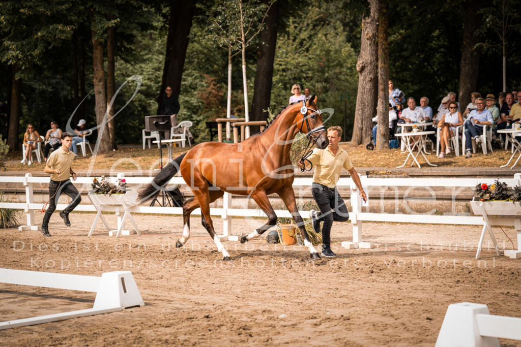 6.Fr00103 | Leoni Ertmer Photography - Realisiert mit Pictrs.com