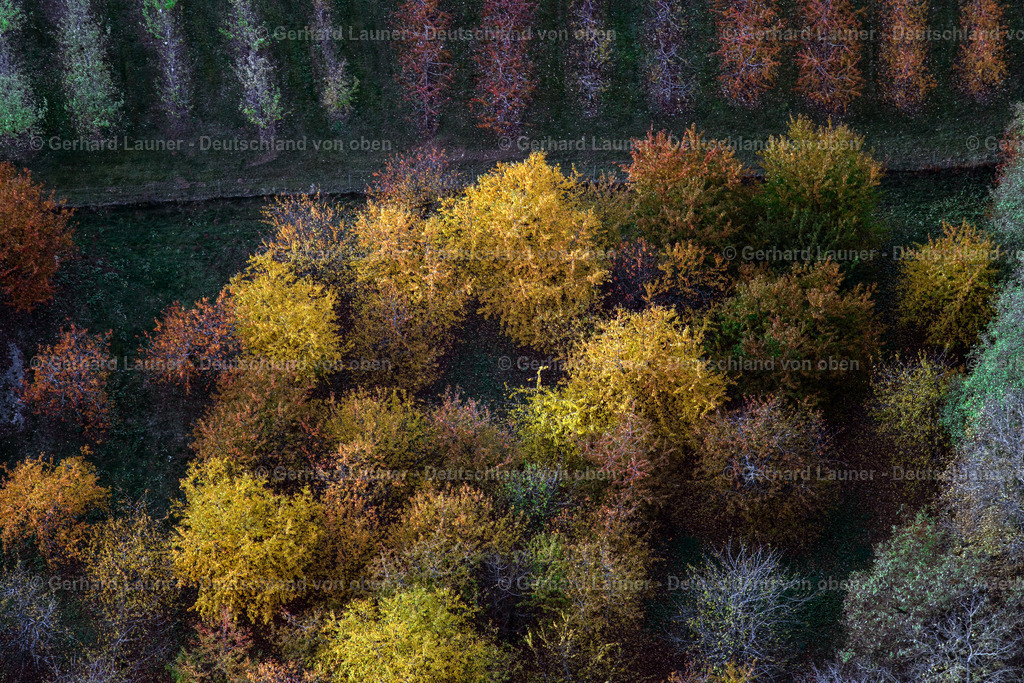 3808222 | Herbstliche Bäume bei Rödlas