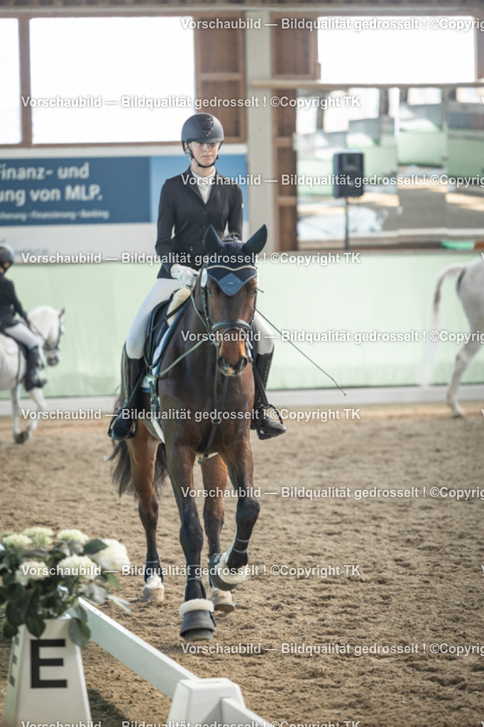 _D5A8726 | Emotionale Pferde- & People-Fotografie rund um Heidelberg, Leimen & Umgebung. Natürliche Fotos von Pferd, Mensch & Familie. Jetzt Termin sichern!