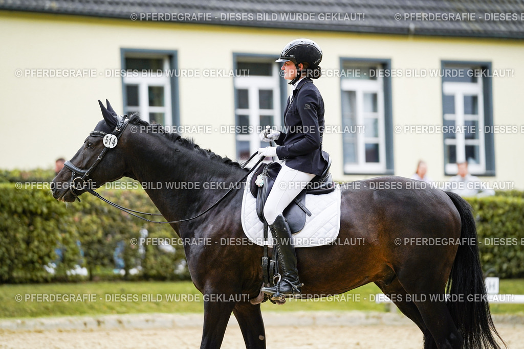 DSC07778 | Pferdegrafie