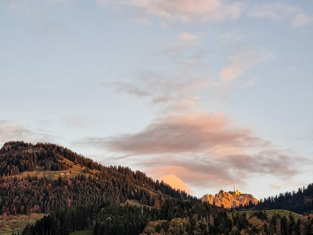 PSX_20221017_230836 | mtkfoto_ - Realisiert mit Pictrs.com