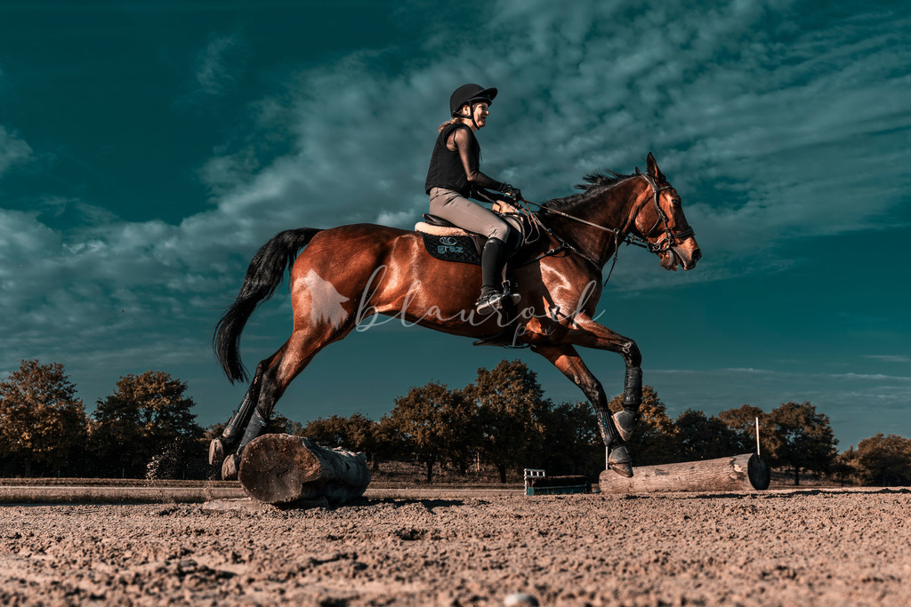 AvenchesJK-7399 | Sportbilder, Sportfotograf, Hochzeits- und Eventfotografin, Flugshows, Portraits und Tiershooting, Aviation, Downhill, Nationalleague, Swissleague, International