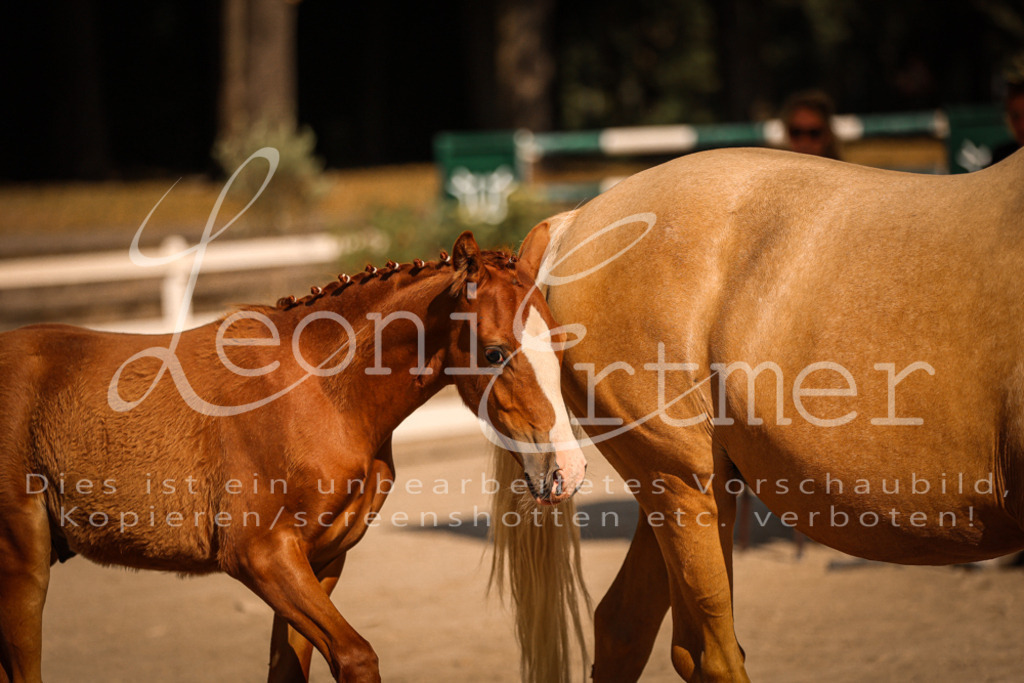 11.DoRP00026 | Leoni Ertmer Photography - Realisiert mit Pictrs.com