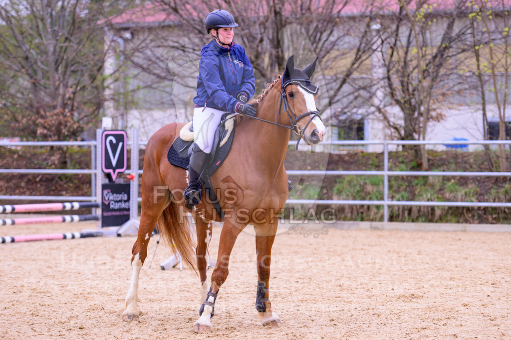 12042026-Mammendorf-Prfg40-1151 | Fokus Hufschlag Fotografie - Realisiert mit Pictrs.com