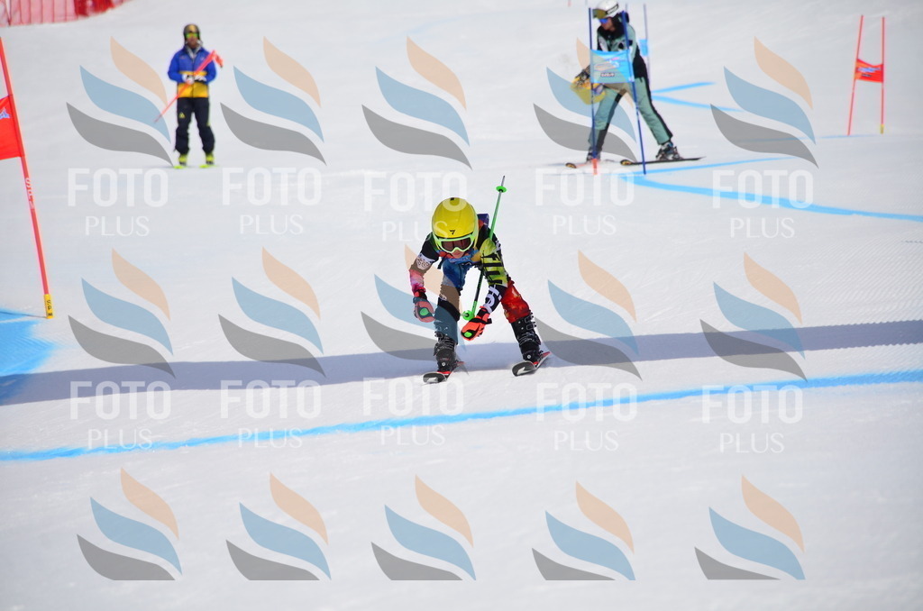 VR4_6796 | holidayphoto