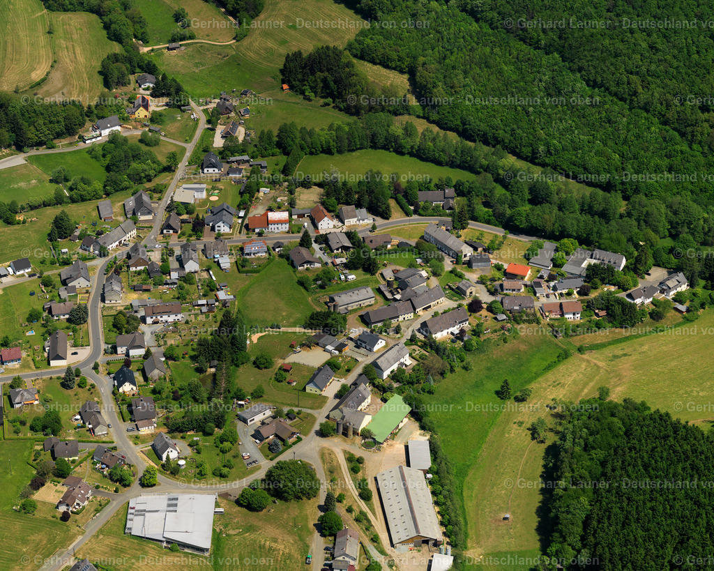 Wilzenberg-3111316 | Wilzenberg