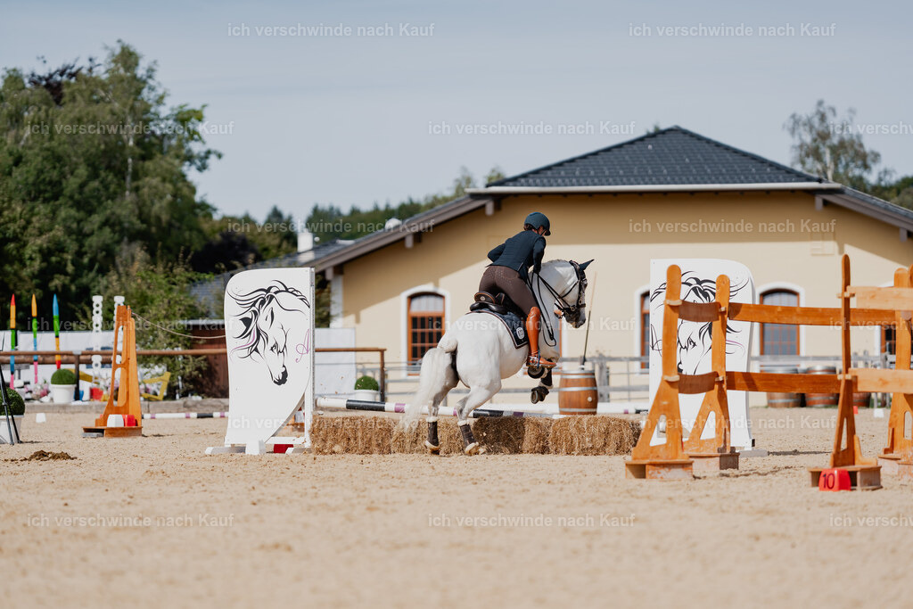 Nadine22_FHC2025-111 | working equitationturnier fotograf videograf stoibphotography marixx film working equitation deutschland reitsport turnierfotografie eventfotografie equestrian events